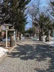 新琴似神社の景色