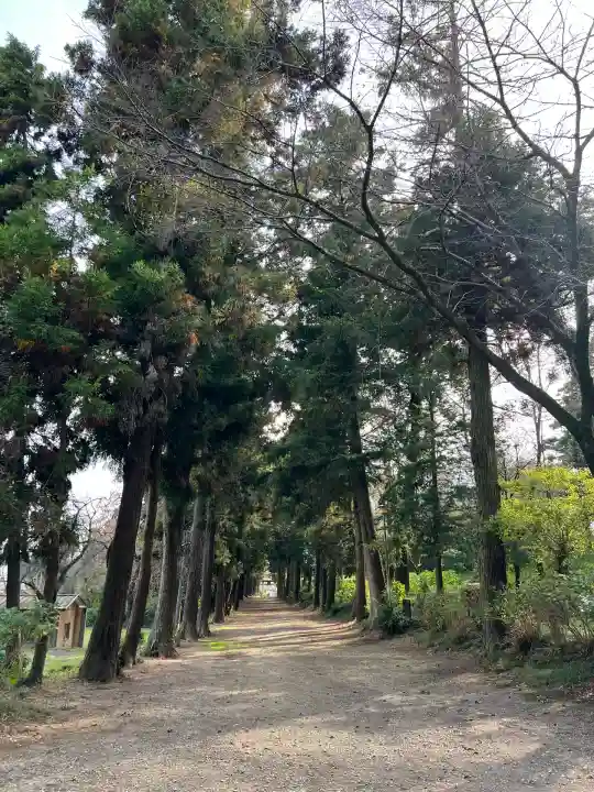 千代ケ岡八幡宮(栃木県)