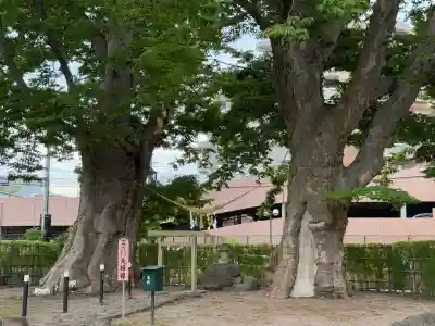 熊野神社(山形県)