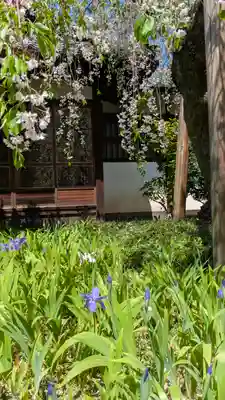 得浄明院(善光寺別院)(京都府)