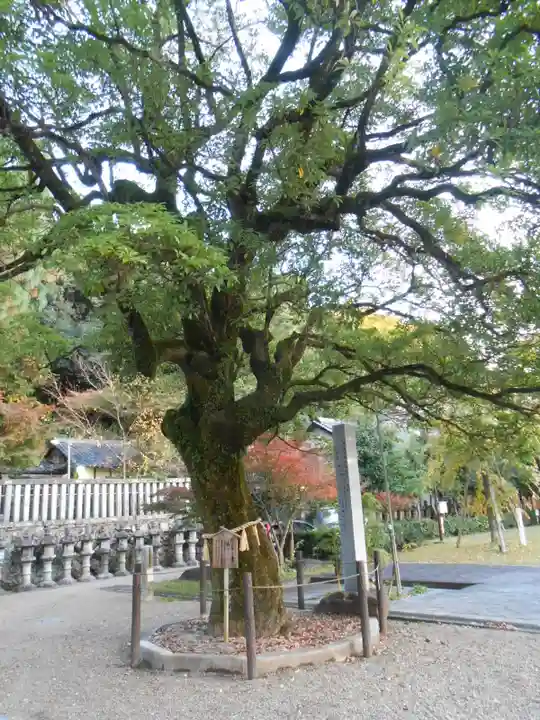 橿森神社(岐阜県)