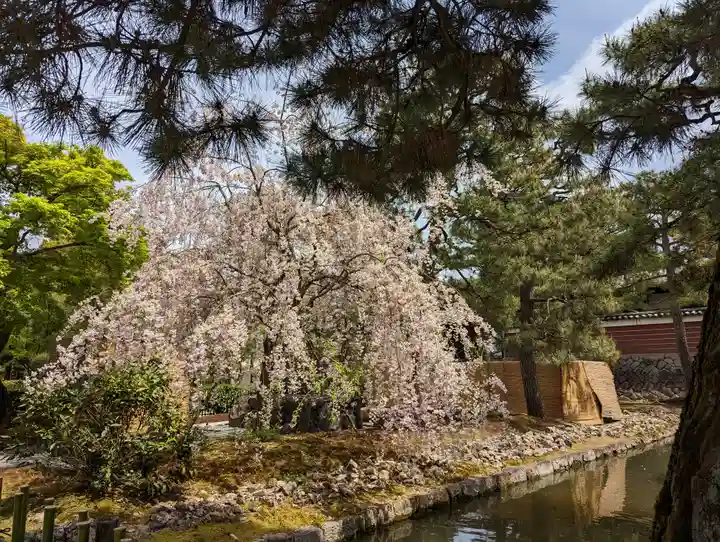 建仁寺(建仁禅寺)(京都府)