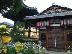 行願寺（革堂）の建物その他