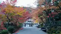 南禅寺の建物その他