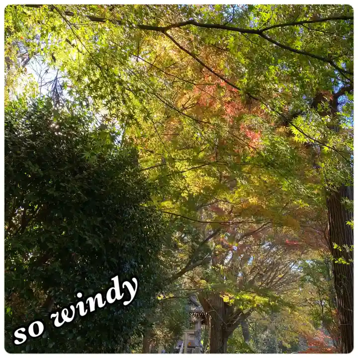 天台宗 長窪山 正覚寺(神奈川県)