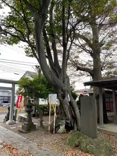 三皇熊野神社本宮の庭園