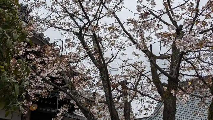 妙傳寺(京都府)