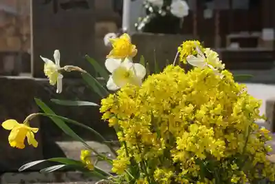 熊野福藏神社の手水舎