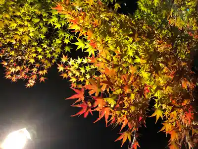 円通院(宮城県)