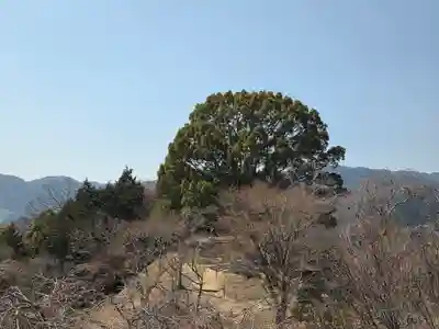 サムハラ神社 奥の宮(岡山県)