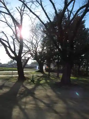 伏木香取神社の自然