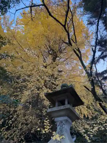 高良神社(京都府)