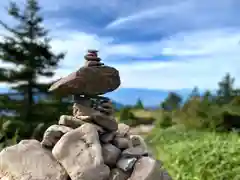 山家神社奥宮の自然