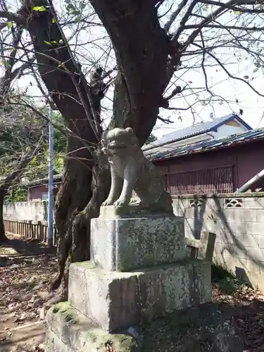 前玉神社の狛犬