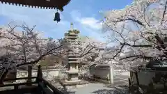 妙顯寺（妙顕寺）(京都府)