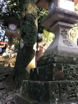 春日大社の{uncategorized: "未分類", other: "その他", undefined: "問題あり", building: "その他建物", grave: "お墓", sacred_gate: "鳥居", guardian: "狛犬", statue: "像", buddha: "仏像", history: "歴史", nature: "自然", garden: "庭園", animal: "動物", pagoda: "塔", temizu: "手水舎", mountain_gate: "山門・神門", sanctuary: "本殿・本堂", subordinate: "末社・摂社", art: "芸術", scenery: "景色", jizo: "地蔵", ema: "絵馬", goshuin: "御朱印", omikuji: "おみくじ", items: "授与品その他", amulet: "お守り", goshuincho: "御朱印帳", eats: "食事", festival: "お祭り", votive_dance: "神楽", shichigosan: "七五三参", wedding: "結婚式", experience: "体験その他", initially: "初詣", around: "周辺", anti_infection: "感染症対策"}