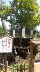 日々神社(神奈川県)