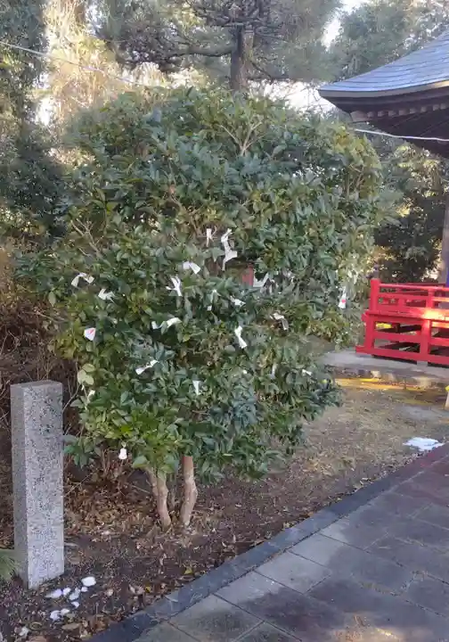 神明社(宮城県)