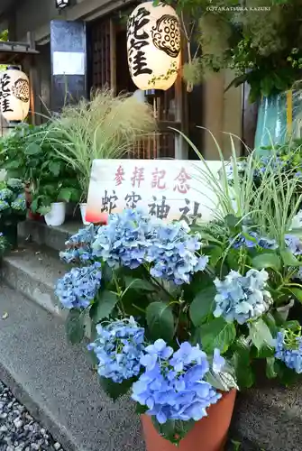 蛇窪神社(東京都)