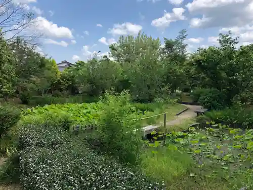 法華寺の庭園