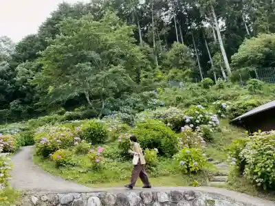 弥勒寺の{uncategorized: "未分類", other: "その他", undefined: "問題あり", building: "その他建物", grave: "お墓", sacred_gate: "鳥居", guardian: "狛犬", statue: "像", buddha: "仏像", history: "歴史", nature: "自然", garden: "庭園", animal: "動物", pagoda: "塔", temizu: "手水舎", mountain_gate: "山門・神門", sanctuary: "本殿・本堂", subordinate: "末社・摂社", art: "芸術", scenery: "景色", jizo: "地蔵", ema: "絵馬", goshuin: "御朱印", omikuji: "おみくじ", items: "授与品その他", amulet: "お守り", goshuincho: "御朱印帳", eats: "食事", festival: "お祭り", votive_dance: "神楽", shichigosan: "七五三参", wedding: "結婚式", experience: "体験その他", initially: "初詣", around: "周辺", anti_infection: "感染症対策"}