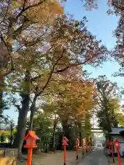 上野総社神社(群馬県)