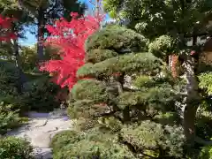 霊源院(京都府)