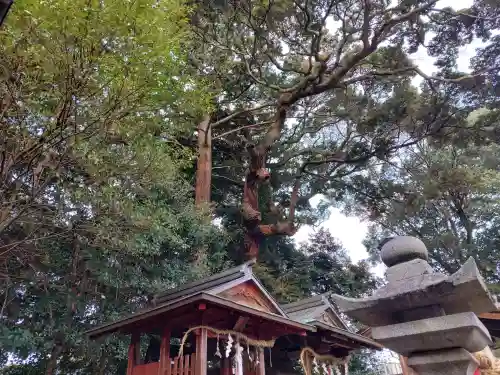 王子神社の{uncategorized: "未分類", other: "その他", undefined: "問題あり", building: "その他建物", grave: "お墓", sacred_gate: "鳥居", guardian: "狛犬", statue: "像", buddha: "仏像", history: "歴史", nature: "自然", garden: "庭園", animal: "動物", pagoda: "塔", temizu: "手水舎", mountain_gate: "山門・神門", sanctuary: "本殿・本堂", subordinate: "末社・摂社", art: "芸術", scenery: "景色", jizo: "地蔵", ema: "絵馬", goshuin: "御朱印", omikuji: "おみくじ", items: "授与品その他", amulet: "お守り", goshuincho: "御朱印帳", eats: "食事", festival: "お祭り", votive_dance: "神楽", shichigosan: "七五三参", wedding: "結婚式", experience: "体験その他", initially: "初詣", around: "周辺", anti_infection: "感染症対策"}