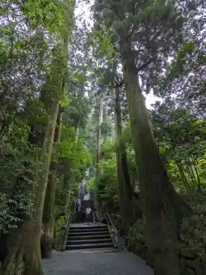 箱根神社(神奈川県)