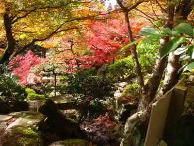百済寺のその他建物