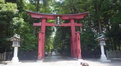 彌彦神社の鳥居