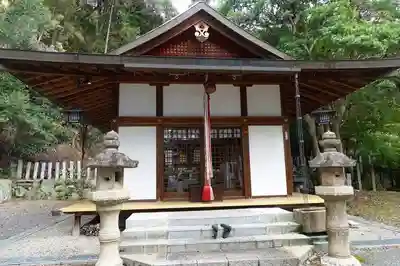 春日神社の本殿・本堂