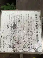 無量寺の自然