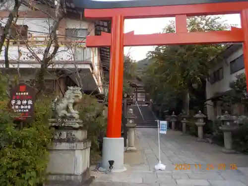 宇治神社の鳥居