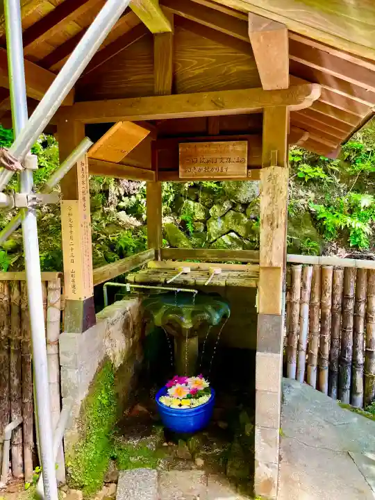 大聖寺(亀岡文殊)の{uncategorized: "未分類", other: "その他", undefined: "問題あり", building: "その他建物", grave: "お墓", sacred_gate: "鳥居", guardian: "狛犬", statue: "像", buddha: "仏像", history: "歴史", nature: "自然", garden: "庭園", animal: "動物", pagoda: "塔", temizu: "手水舎", mountain_gate: "山門・神門", sanctuary: "本殿・本堂", subordinate: "末社・摂社", art: "芸術", scenery: "景色", jizo: "地蔵", ema: "絵馬", goshuin: "御朱印", omikuji: "おみくじ", items: "授与品その他", amulet: "お守り", goshuincho: "御朱印帳", eats: "食事", festival: "お祭り", votive_dance: "神楽", shichigosan: "七五三参", wedding: "結婚式", experience: "体験その他", initially: "初詣", around: "周辺", anti_infection: "感染症対策"}