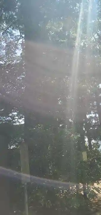 麻賀多神社(千葉県)