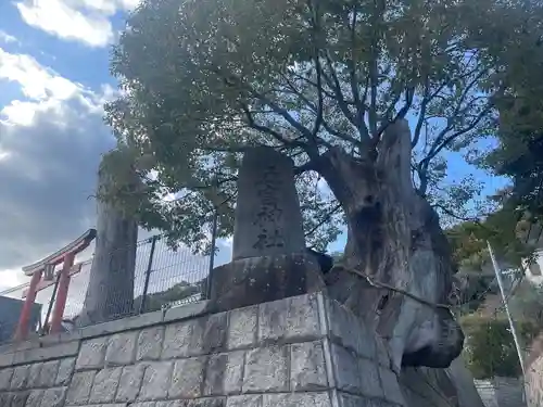 五宮神社(兵庫県)