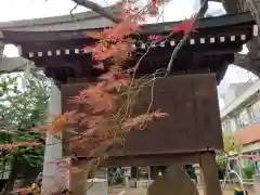 月見岡八幡神社の歴史