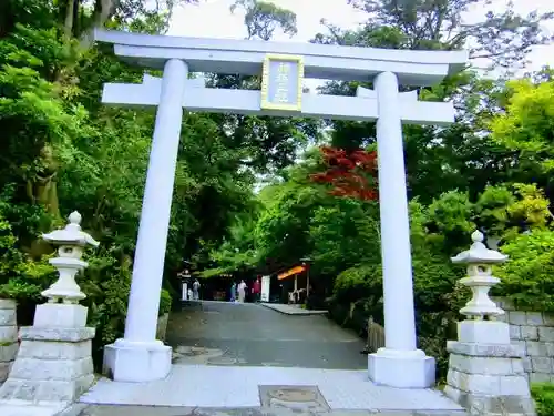 検見川神社の鳥居