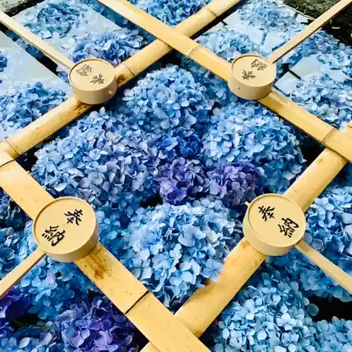 土津神社｜こどもと出世の神さまの手水舎