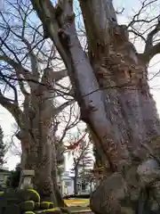 熊野神社(山形県)