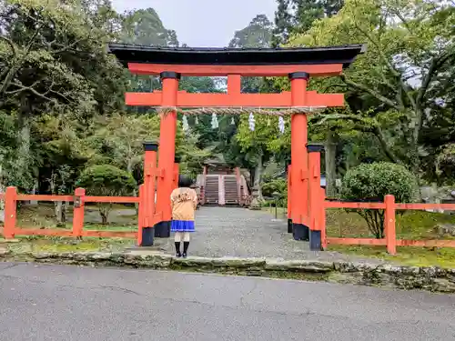 丹生都比売神社の鳥居