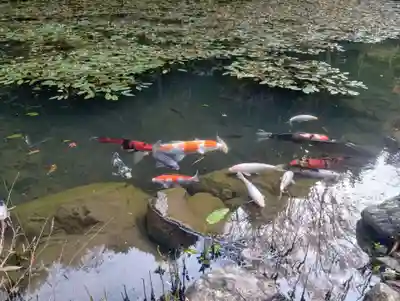 三光寺(岐阜県)