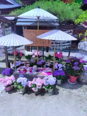 岡寺(龍蓋寺)(奈良県)