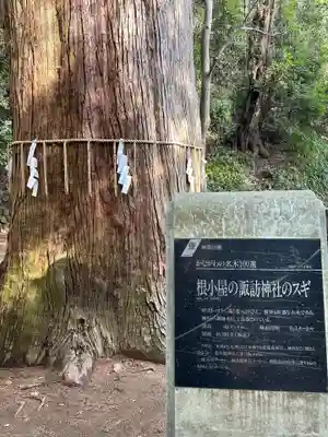 根小屋諏訪神社(神奈川県)