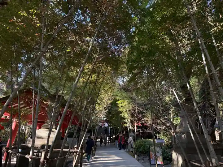 來宮神社(静岡県)