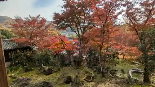 栖賢寺(京都府)