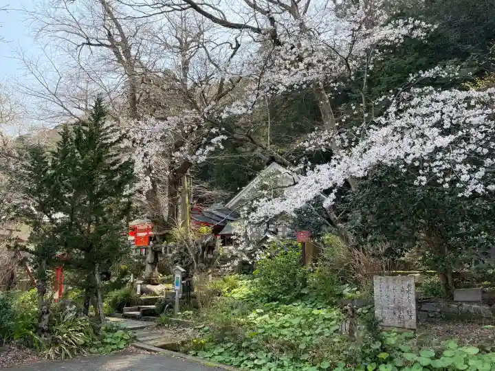 伊那下神社の{uncategorized: "未分類", other: "その他", undefined: "問題あり", building: "その他建物", grave: "お墓", sacred_gate: "鳥居", guardian: "狛犬", statue: "像", buddha: "仏像", history: "歴史", nature: "自然", garden: "庭園", animal: "動物", pagoda: "塔", temizu: "手水舎", mountain_gate: "山門・神門", sanctuary: "本殿・本堂", subordinate: "末社・摂社", art: "芸術", scenery: "景色", jizo: "地蔵", ema: "絵馬", goshuin: "御朱印", omikuji: "おみくじ", items: "授与品その他", amulet: "お守り", goshuincho: "御朱印帳", eats: "食事", festival: "お祭り", votive_dance: "神楽", shichigosan: "七五三参", wedding: "結婚式", experience: "体験その他", initially: "初詣", around: "周辺", anti_infection: "感染症対策"}