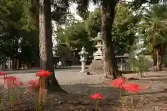 日吉二宮神社の景色