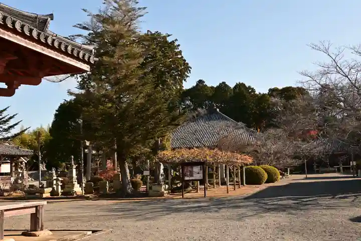 浄土寺(兵庫県)